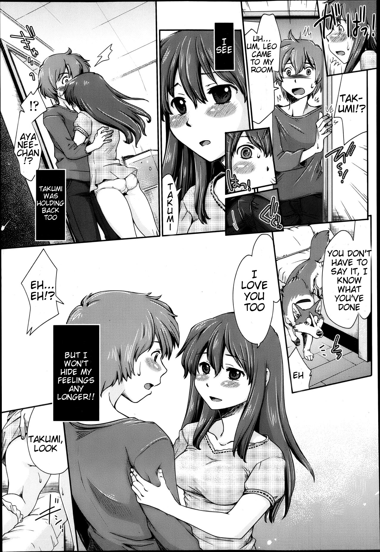 Hentai Kyoudai to Inu | Pervert Siblings and Their Dog page 11 full