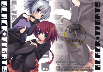(C77) [23.4 Do (Ichiri)] BLACK＊TIGHTS (Darker Than Black) (korean) cover