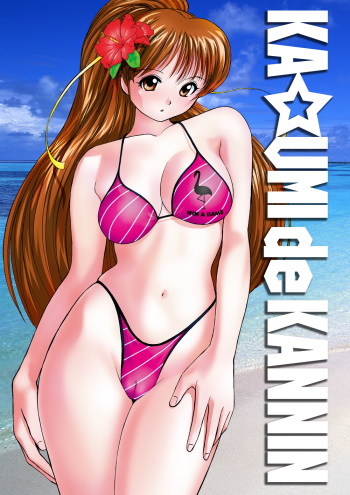 [Otafukutei (Okamoto Fujio)] KA☆UMI de KANNIN (Dead or Alive) [Digital] cover