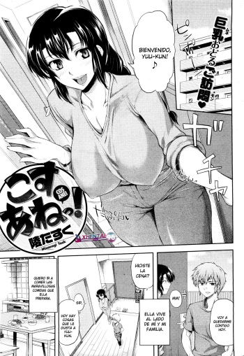[Misasagi Task] Cos Ane! [Spanish] [XHentai95] cover