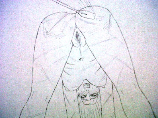 Emmerzail Gallery page 11 full