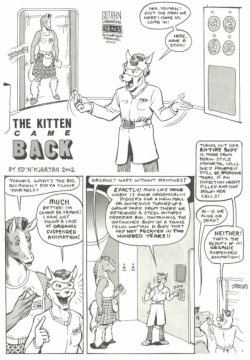 The Kitten Came Back