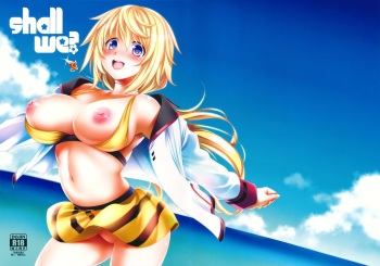 (C84) [Goromenz (Yasui Riosuke)] Shall we...? (IS <Infinite Stratos>) cover