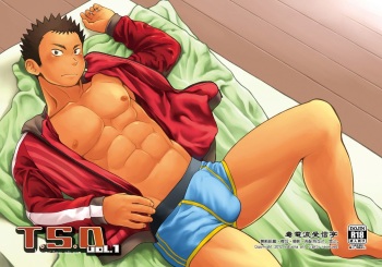 (C84) [Dokudenpa Jushintei (Kobucha)] T.S.D vol. 1 [English] {Bunny Scanlations} cover