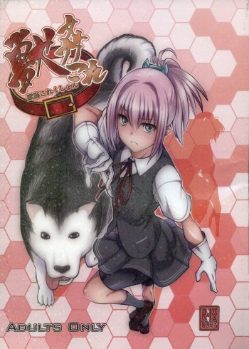 (SC61) [Zensoku Rider (Tenzen Miyabi)] Juukan Collection (Kantai Collection) cover