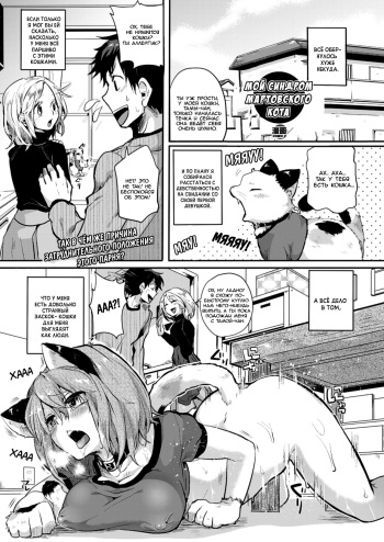 [Doumou] Nyanko na Hatsujouki (COMIC Unreal 2013-02 Vol. 41) [Russian] {SLONEEK} [Digital] cover