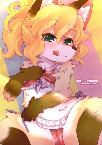 (C82) [Nininini (Various)] Out na Foxies cover