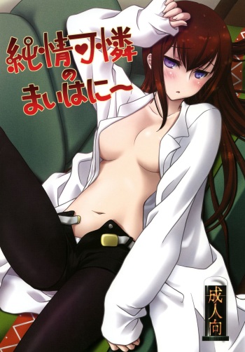 [VENOM (Mori Marimo)] Junjoukaren no My Honey (Steins;Gate) [Digital] cover