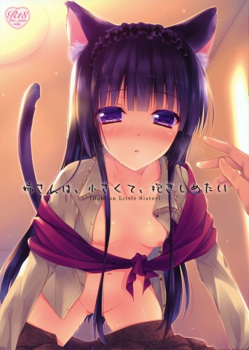 (Mimiket 29) [SEM;COLON (Mitsu King)] Nee-san wa, Chiisaku te, Dakisimetai cover