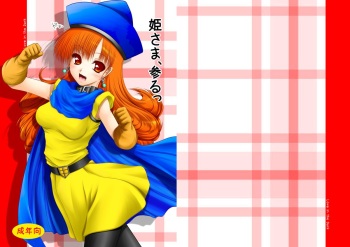 [Ai Wa Kurayami (Marui Ryuu)] Hime-sama, Mairu (Dragon Quest IV) [Digital] cover
