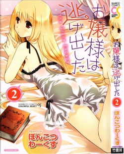 Ojousama wa Nigedashita 2