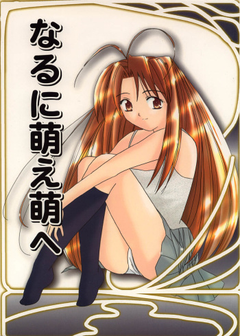 (CR26) [Hikari No Shinden (Koukami Sayana)] Naruni Hou e Hou he (Love Hina) cover