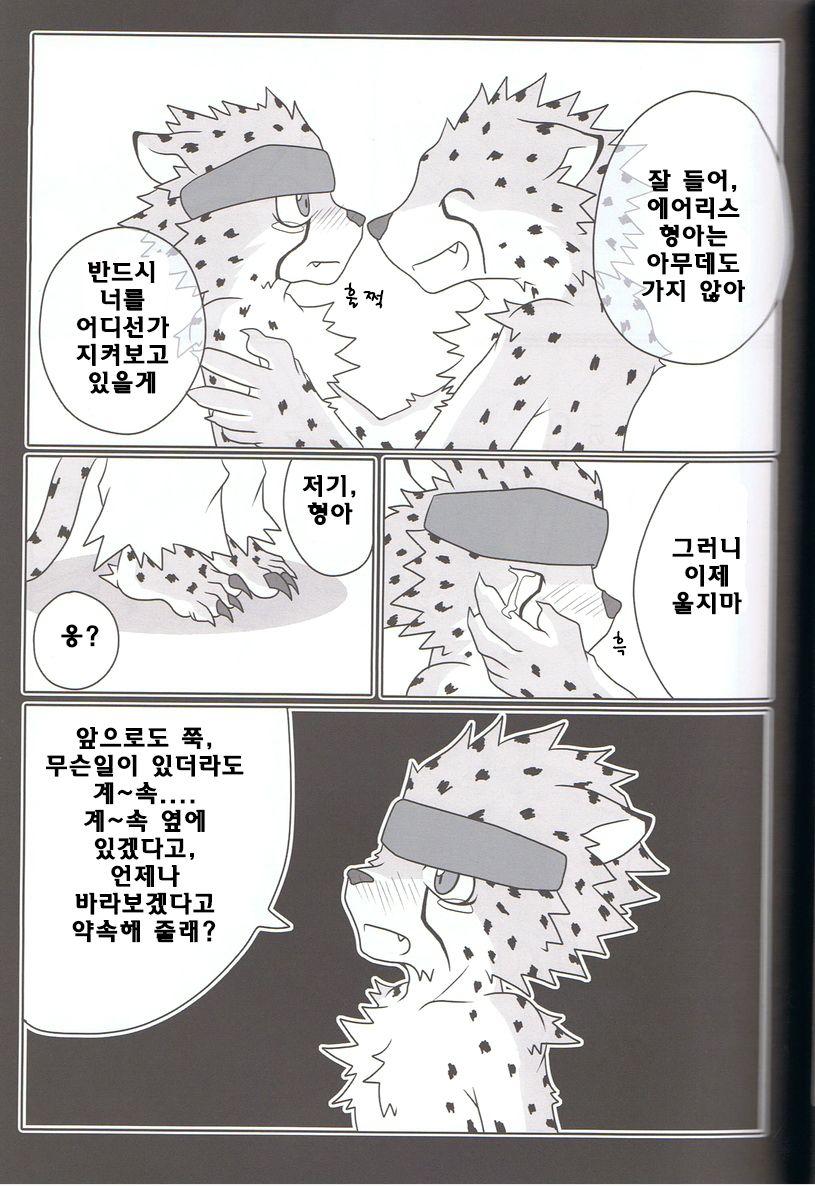 Sora o Kakeru Cheetah page 6 full