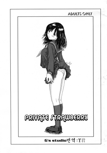 (C65) [G's studio (Kisaragi Gunma)] PRIVATE STRAWBERRY (Ichigo 100%) [Korean] cover