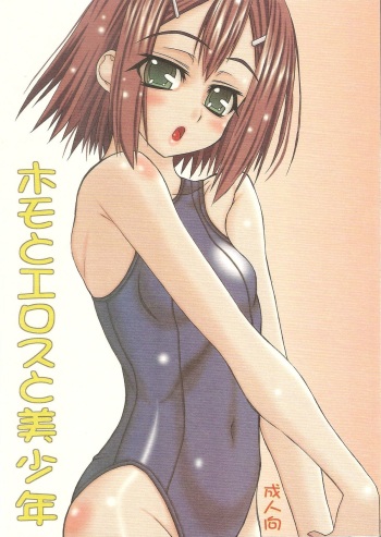 (COMITIA91) [Power Slide (Uttorikun)] Homo to Eros to Bishounen (Baka to Test to Shoukanjuu) cover