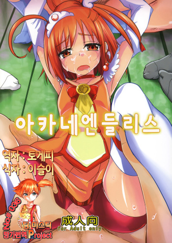 (COMIC1☆6) [SOUND STICKER (Narusawa Kei)] Akane Endless (Smile Precure) [Korean] [Team Mystic] cover