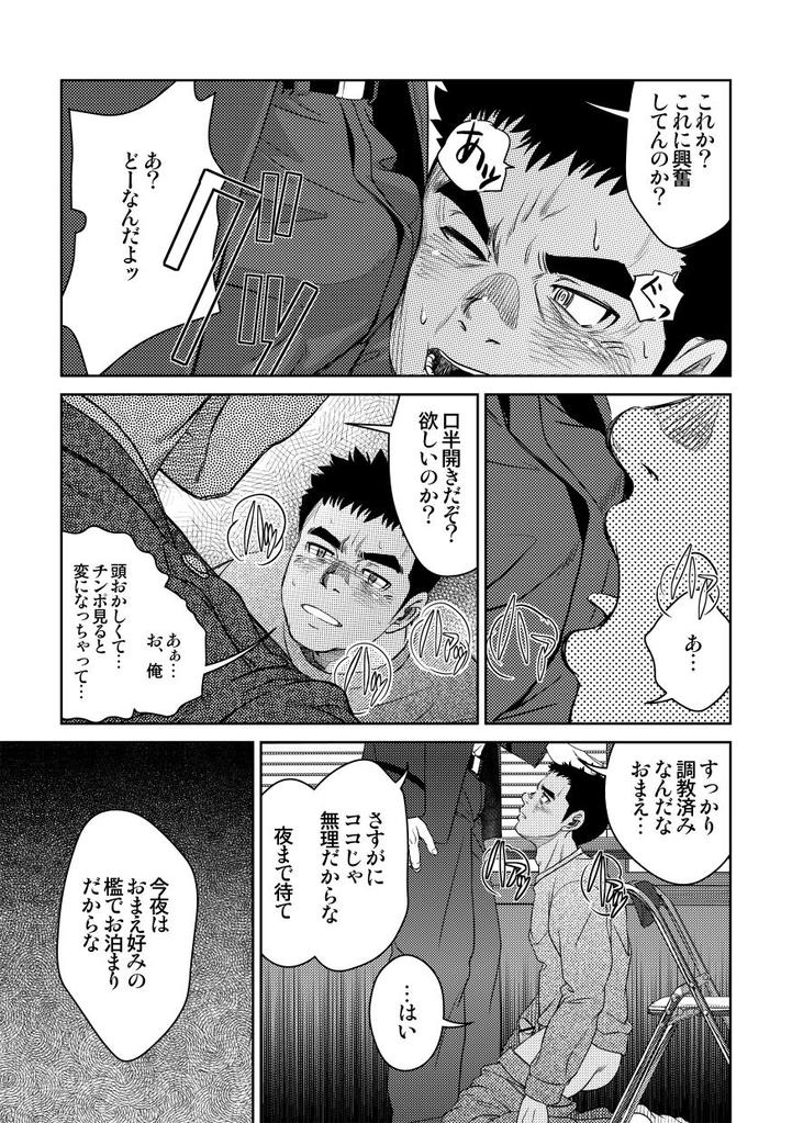 Bottom page 11 full