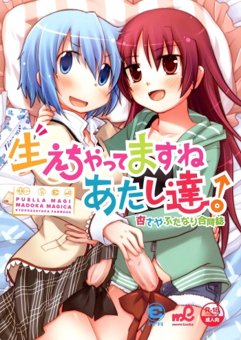 (COMIC1☆6) [ENERGIA meets Lucky (Various)] Haechatte Masu ne Atashi-tachi! (Puella Magi Madoka Magica) cover