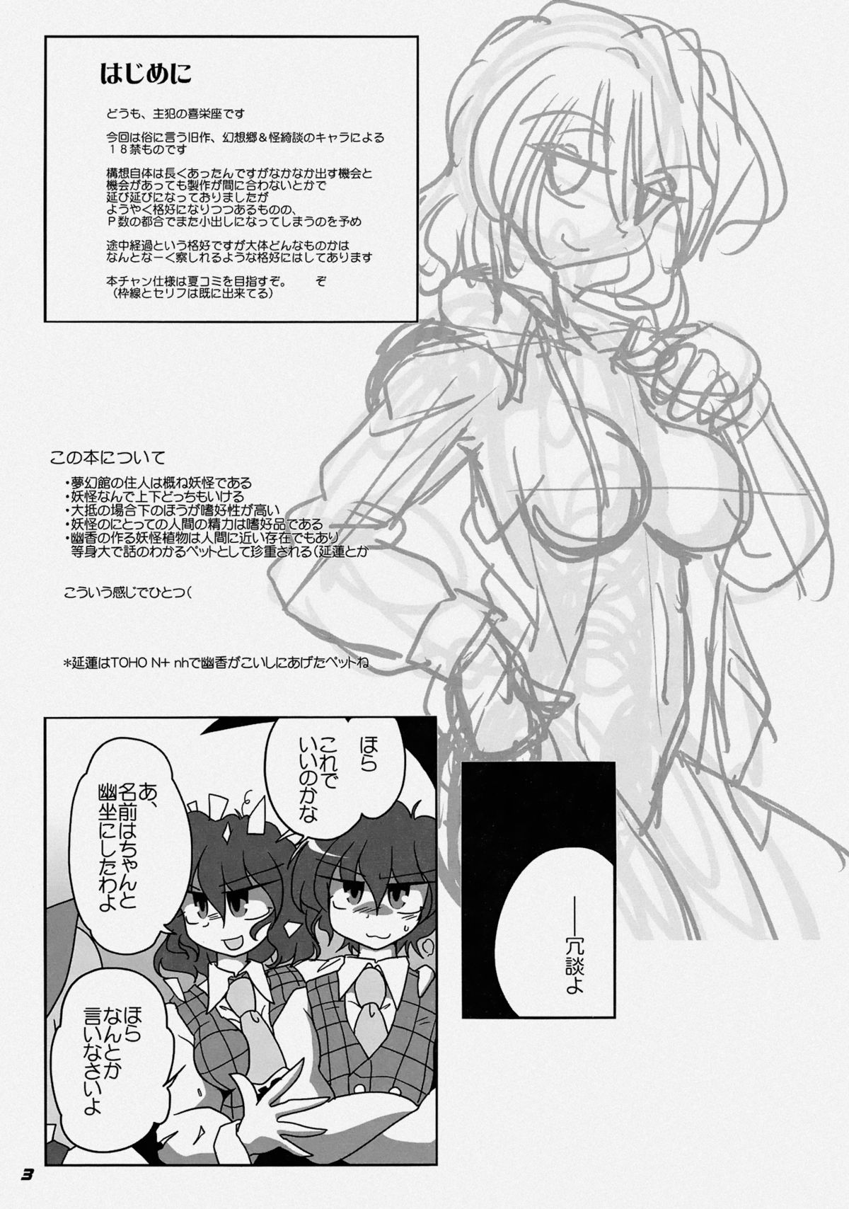 TOHO N+ LL&MSA Type-R page 6 full