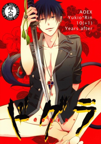 (C82) [FIZZCODE (Satonishi)] Dogra (Ao no Exorcist) cover
