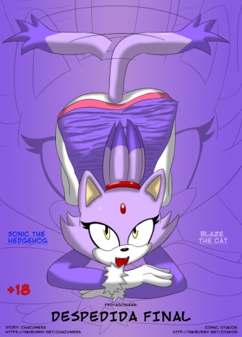 [Otakon] Despedida Final (Sonic The Hedgehog) cover