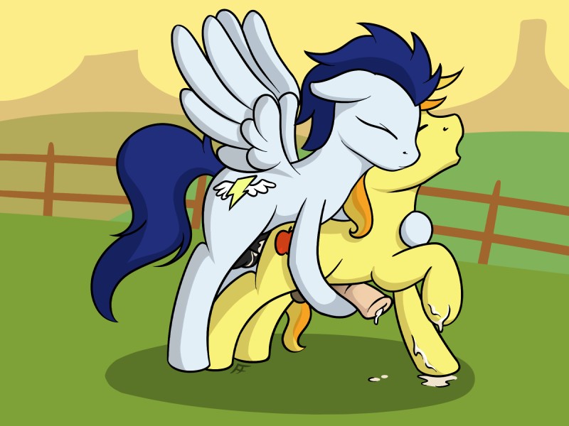 the wonderbolts page 10 full