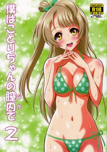 (C84) [GUST (Harukaze Soyogu)] Boku wa Kotori-chan no Naka de 2 (Love Live!) [English] [Life4Kaoru] cover