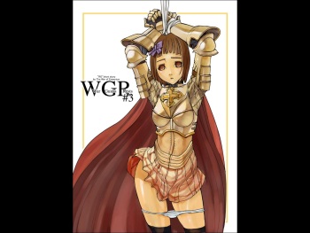 [Mushiringo (Tokihara Masato)] War Guild's Rests #3 (Ragnarok Online) (korean) cover