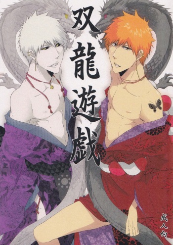 (Bleach Spark) [Gyoukou (Rioka Masaki)] Souryuu Yuugi | Play of the Twin Dragons (Bleach) [English] [Anki-Chan] cover