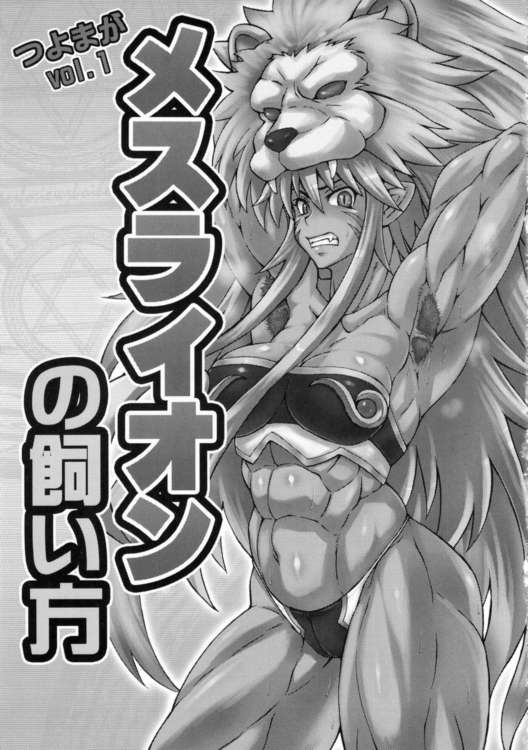 Mesu Lion no Kaikata page 2 full