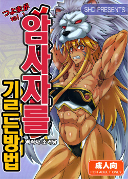 Mesu Lion no Kaikata