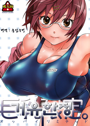 (COMIC1☆2) [Kensoh Ogawa (Fukudahda)] Oppai Limited (Hatsukoi Limited) [Korean] cover