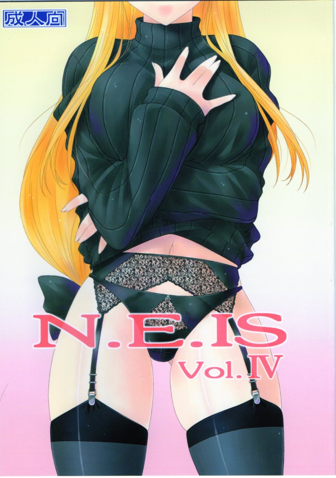 N.E.IS IV page 1 full