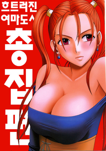 (C70) [Crimson Comics (Crimson)] Midasareshi Onna Madoushi Soushuuhen | 흐트려진 여마도사 총집면 (Dragon Quest VIII) [Korean] cover