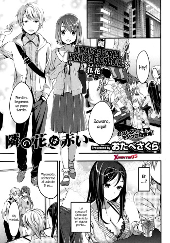 [Otabe Sakura] Tonari no Hana wa Akai | The Red Flower Nearby (COMIC HOTMiLK 2013-11) [Spanish] [XHentai95] cover