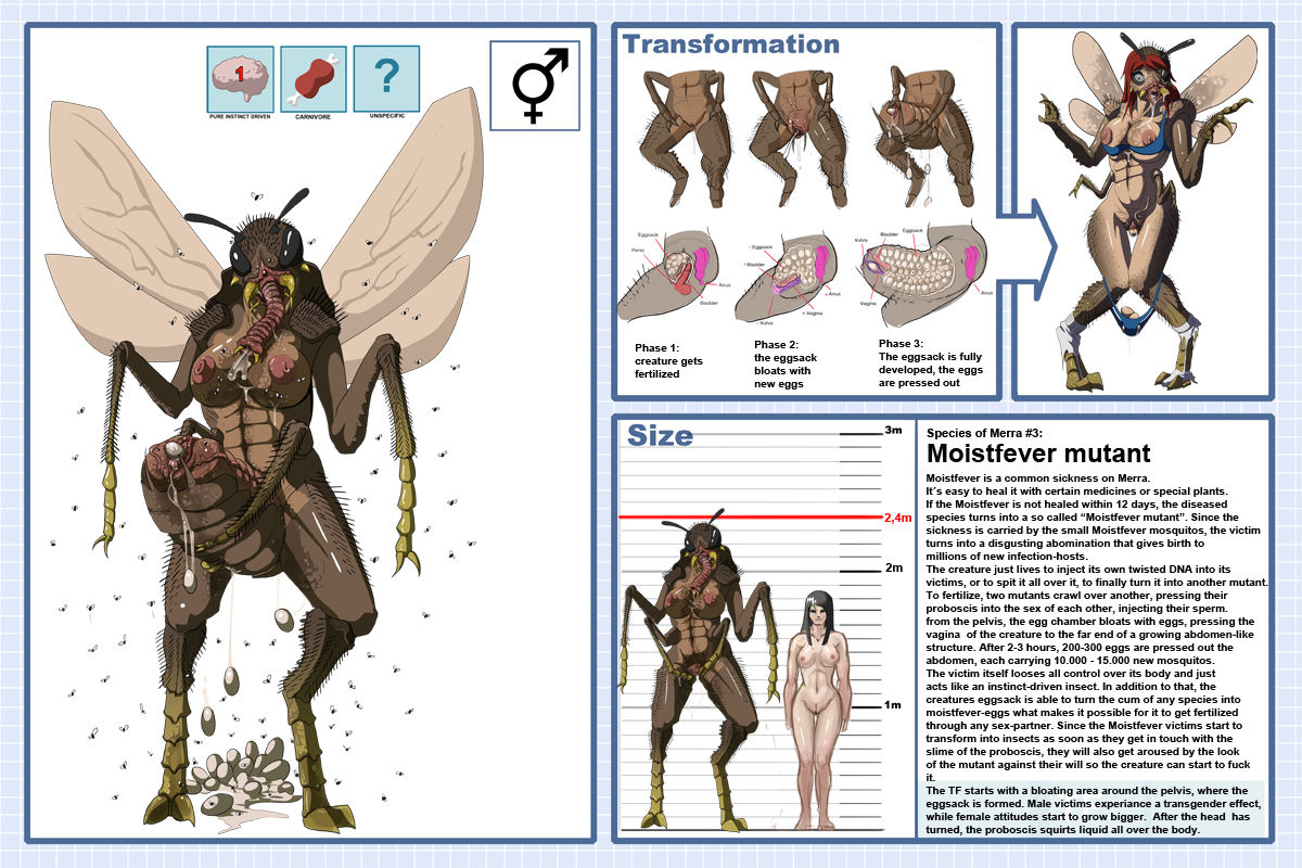 Races of Merra page 11 full