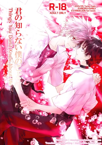 (SUPER22) [Tetsu-Sabi (Huduki Roa)] Kimi no Shiranai Boku no Koto | Things you don’t know about me (Neon Genesis Evangelion) [English] [Memoritite] cover