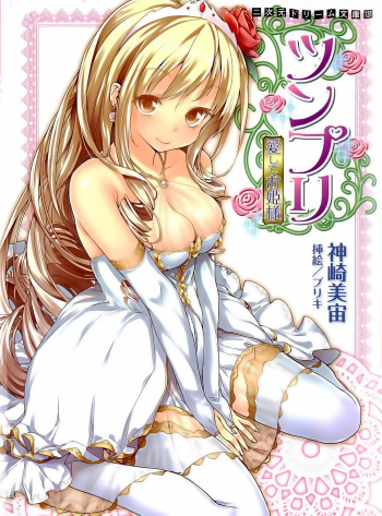 [Kanzaki Misora × Buriki] Tsunpri Aisite Ohimesama cover