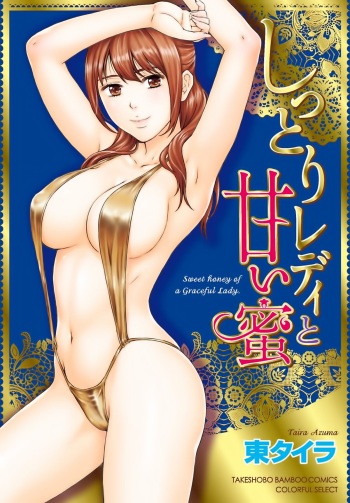 [Azuma Taira] Shittori Lady to Amai Mitsu [Digital] cover