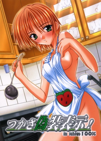 [Studio Q (Natsuka Q-Ya)] Tsukasa Gisou Hyouji! (Ichigo 100%) cover