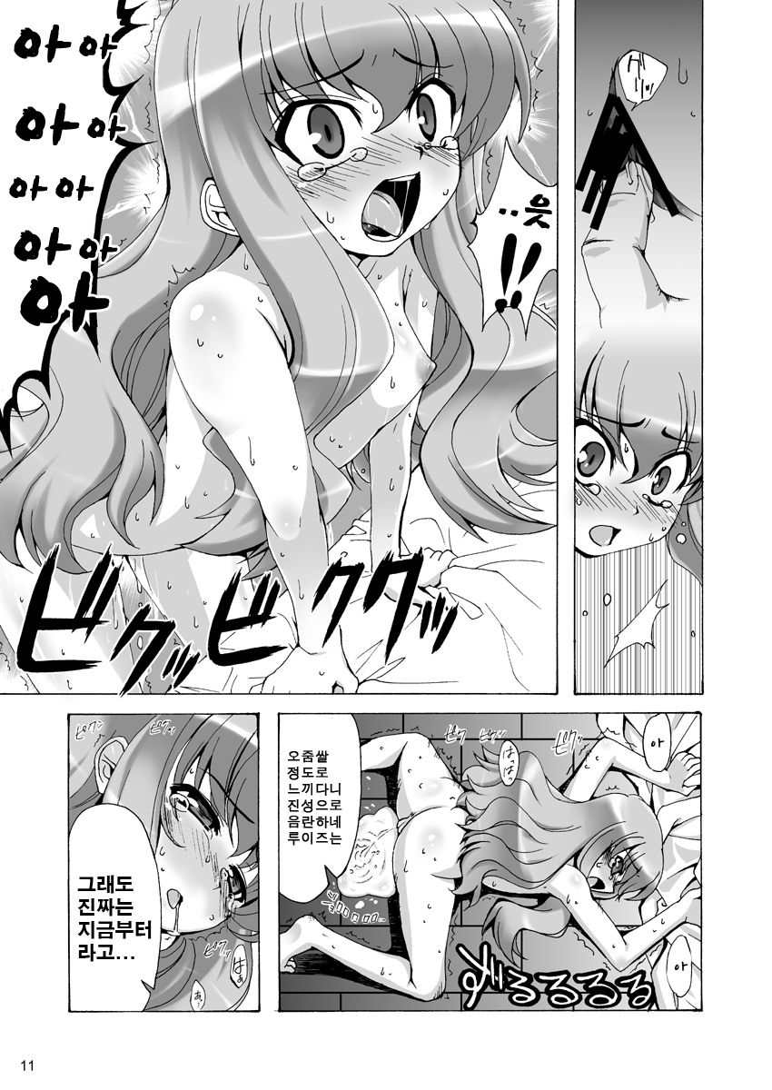 Boku wa Louise to Sex Suru!! | 나는 루이즈와 SEX한다!! page 11 full