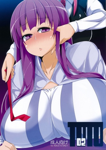 (C84) [Hiatari Ryoukou (Toudori)] TOTO 02 (Touhou Project) cover