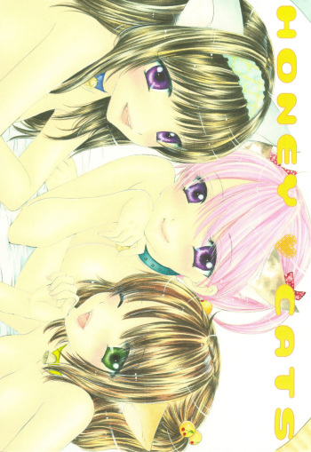 (C75) [BEAT-POP (Ozaki Mirai)] HONEY CATS [Korean] cover