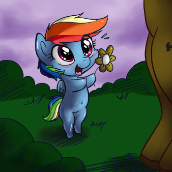 [furnut5158] Dashie's Cubby Day cover