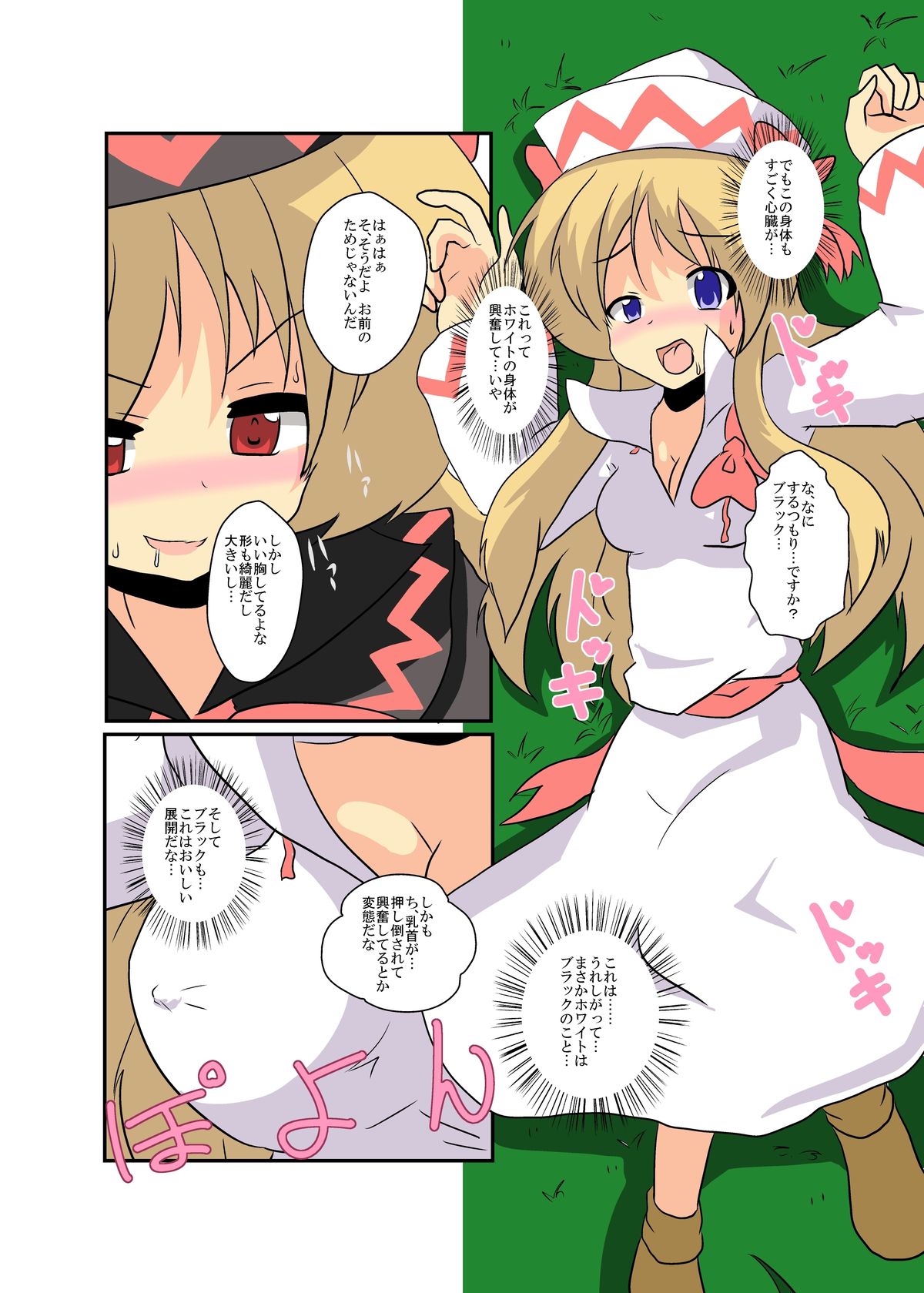 Touhou TS monogatari ~ Lily White-hen ~ page 11 full