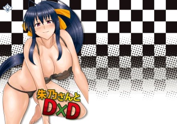 [Shijou Misaki (Satou Souji)] Akeno-san to DxD (Highschool DxD) [Digital] cover