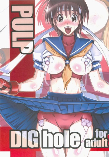 (C83) [prettydolls (Araki Hiroaki)] PULP DIG hole (Street Fighter) cover