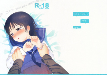 (C84) [fuka fuka (Sekiya Asami)] Otouto no Kanojo ga Kawaikatta node Netottemita + Paper (korean) cover