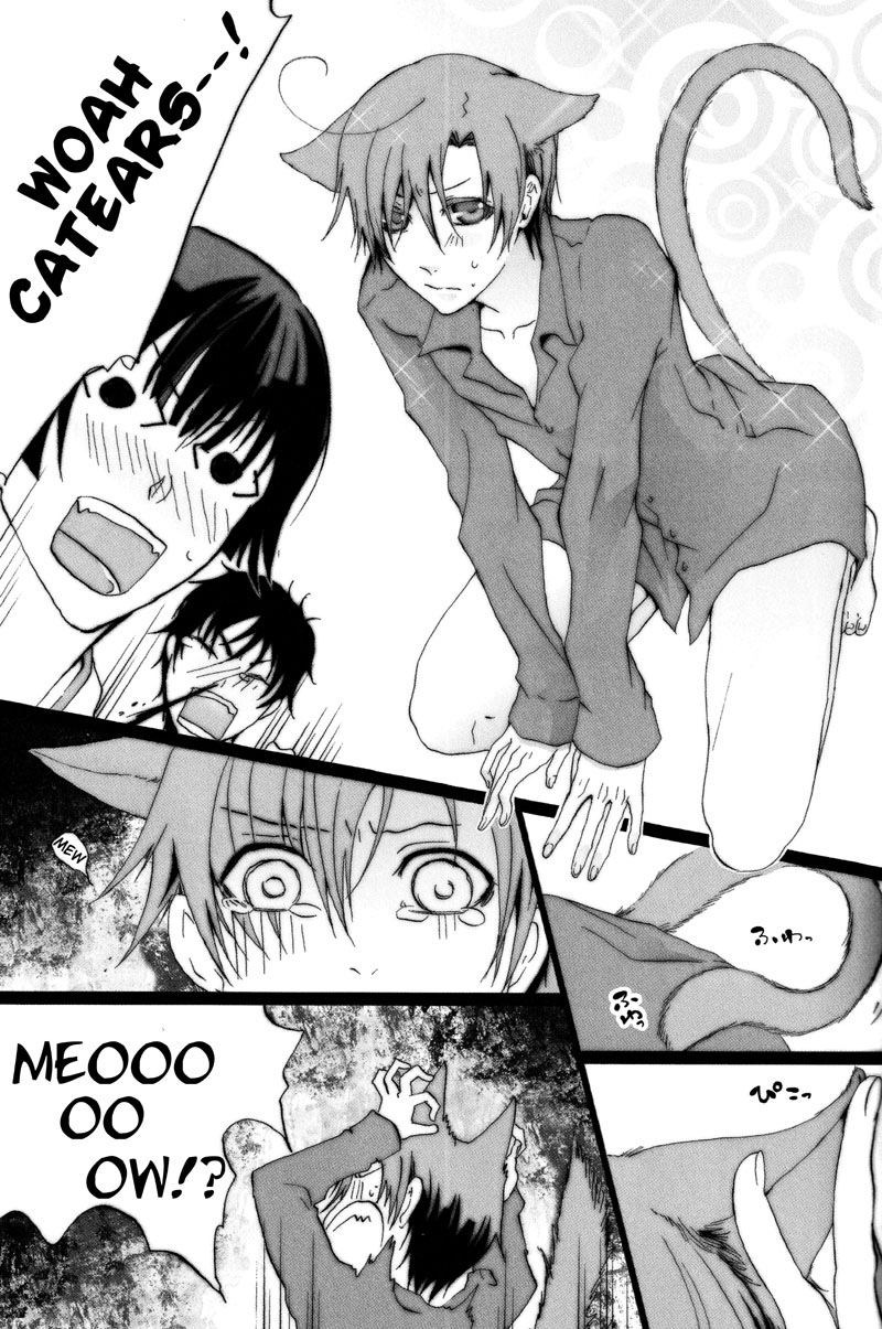 Catnip page 11 full