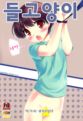 (C84) [Tokuda (Ueda Yuu)] Noraneko | 들고양이 [Korean] [달려♂있어] cover